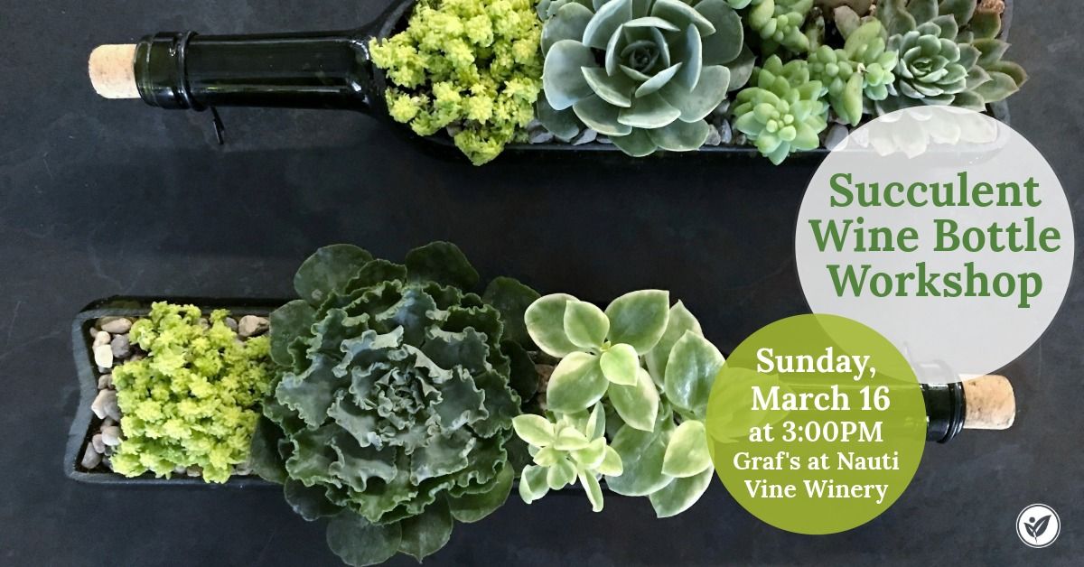 Succulent Wine Bottle Workshop at Nauti Vine Winery