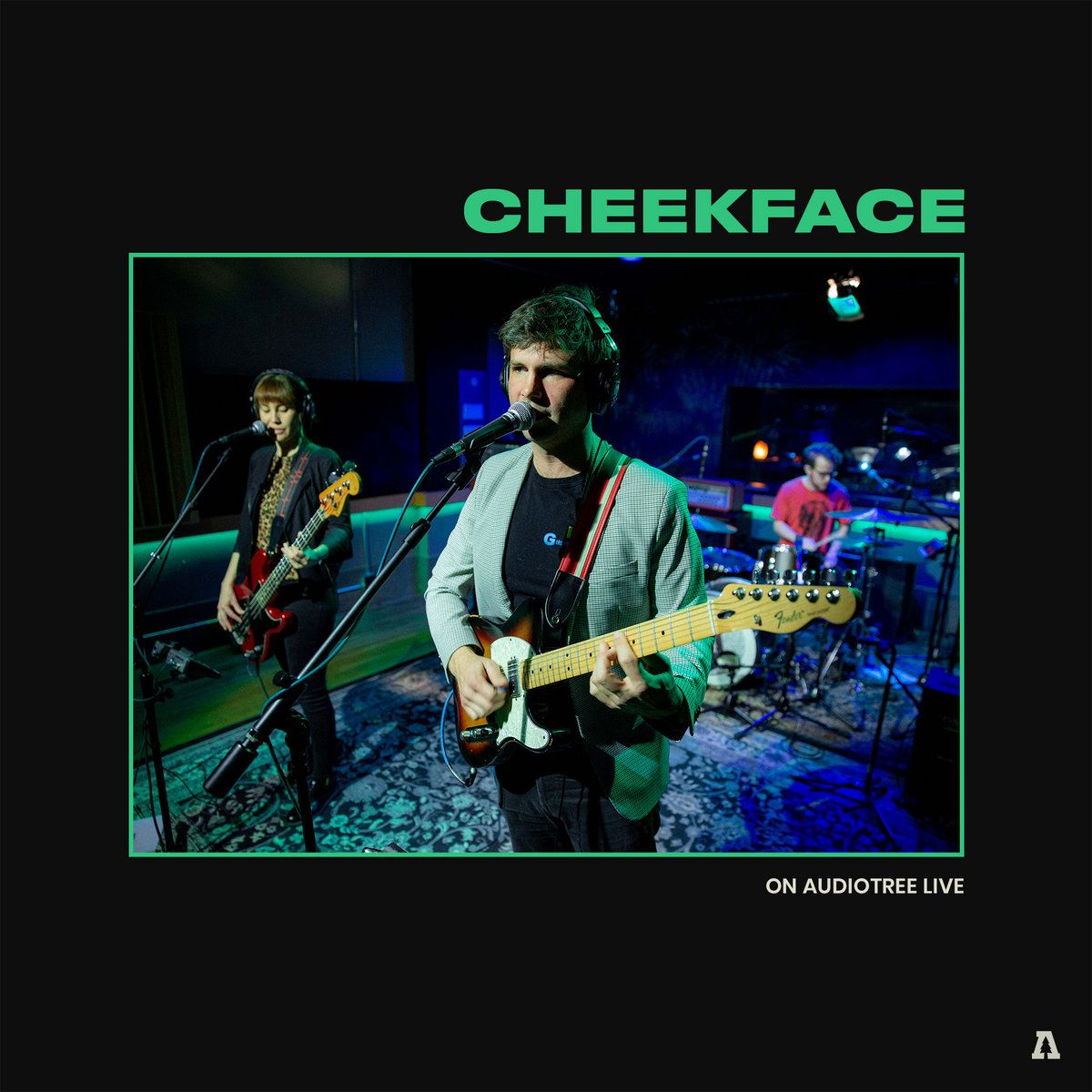 Cheekface (Concert)