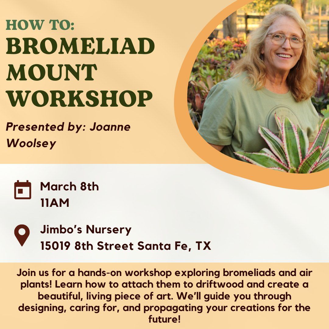 How To: Bromeliad Mount Workshop