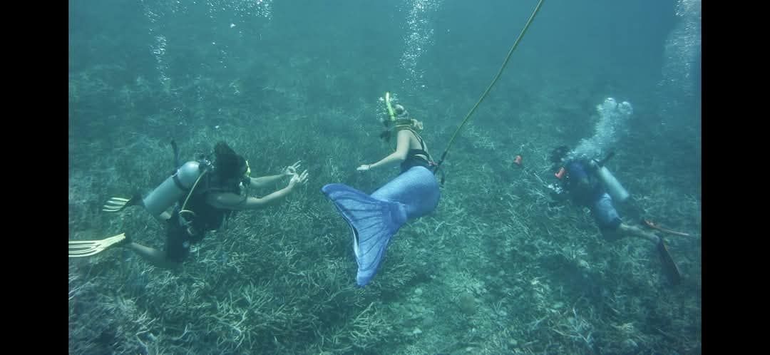 Mermaid dive and photography. On the Snookah Supplied Air Snorkeling System. 