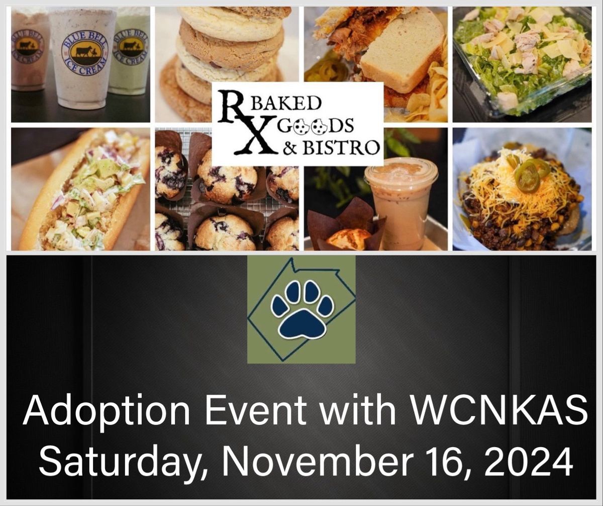 Adoption Event at RX Baked Goods & Bistro