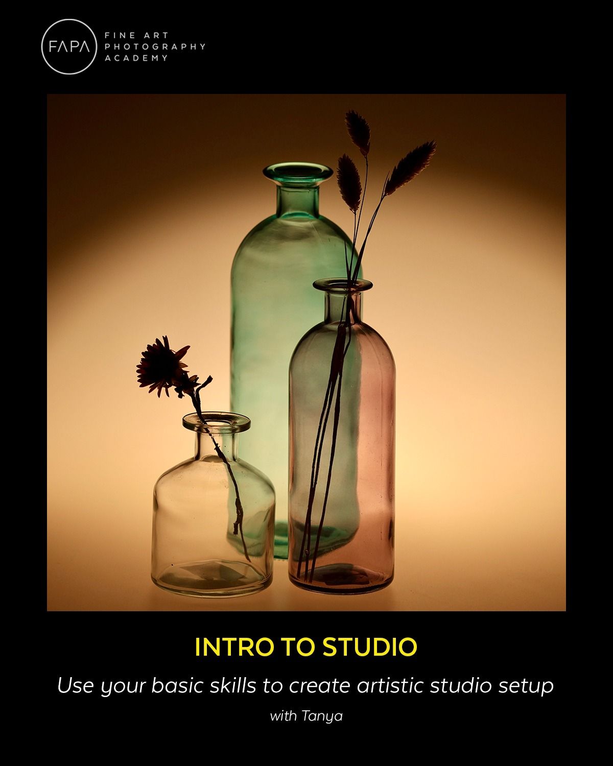 Intro to Studio - Evening 