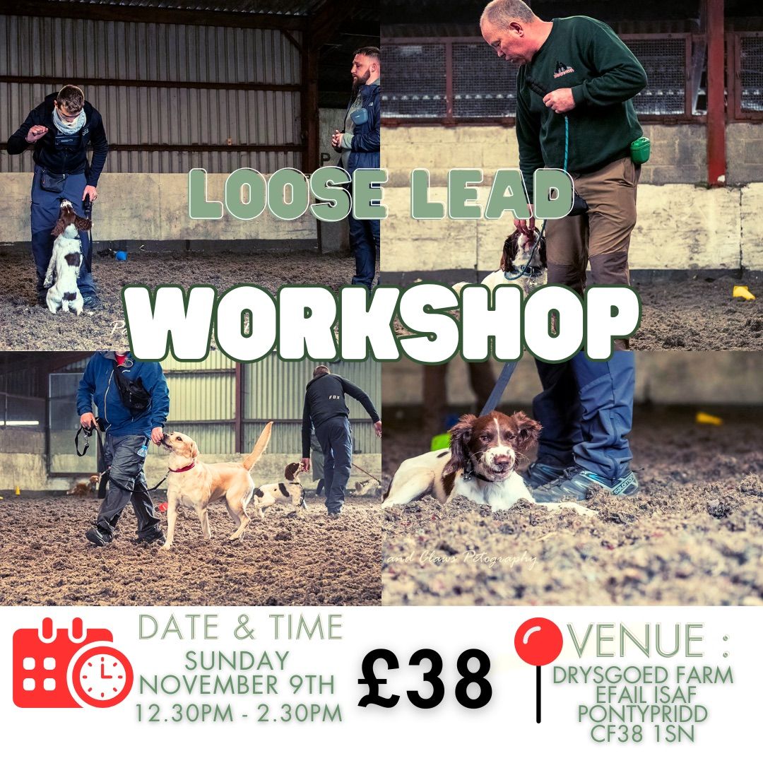 LOOSE LEAD WALKING WORKSHOP