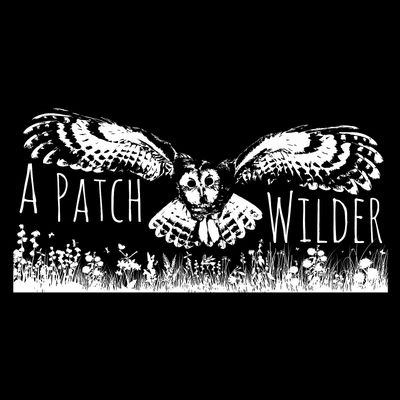 A Patch Wilder