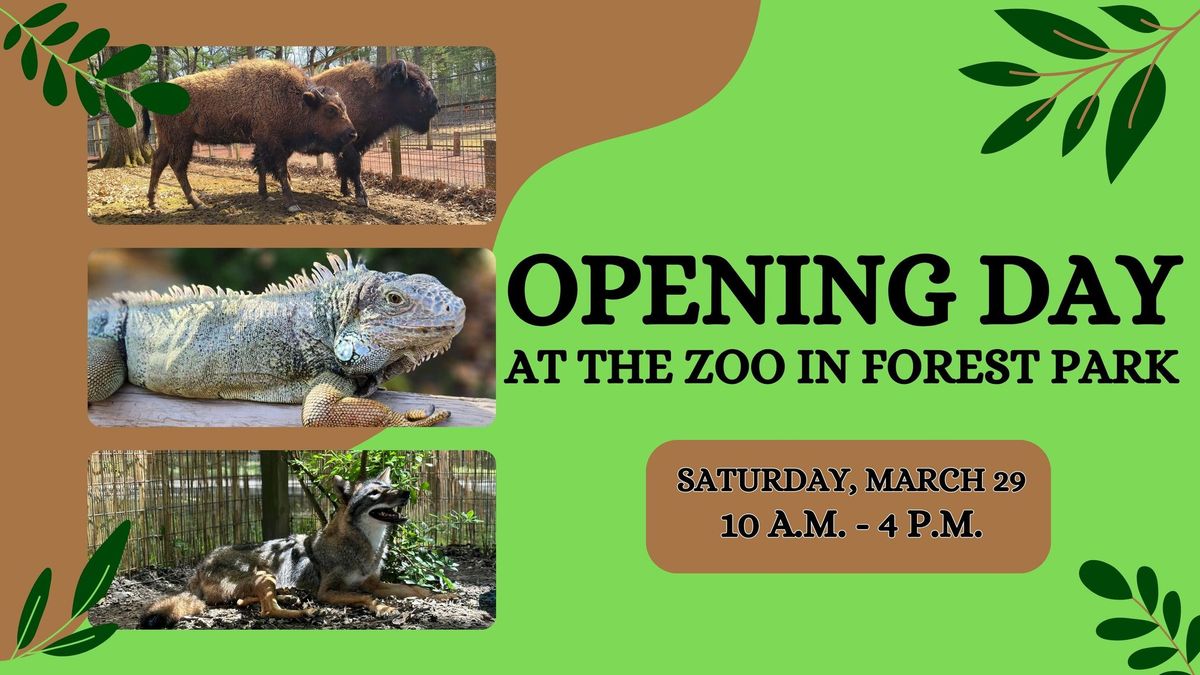 Opening Day at The Zoo