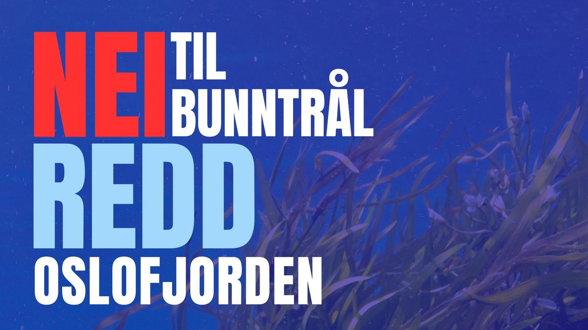 Nei til bunntr\u00e5l- Redd Oslofjorden