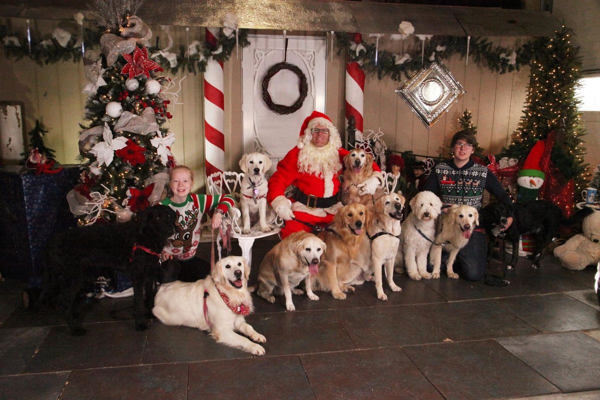 Community Group Dog Walk around the River-Ugly Christmas Sweater Edition.