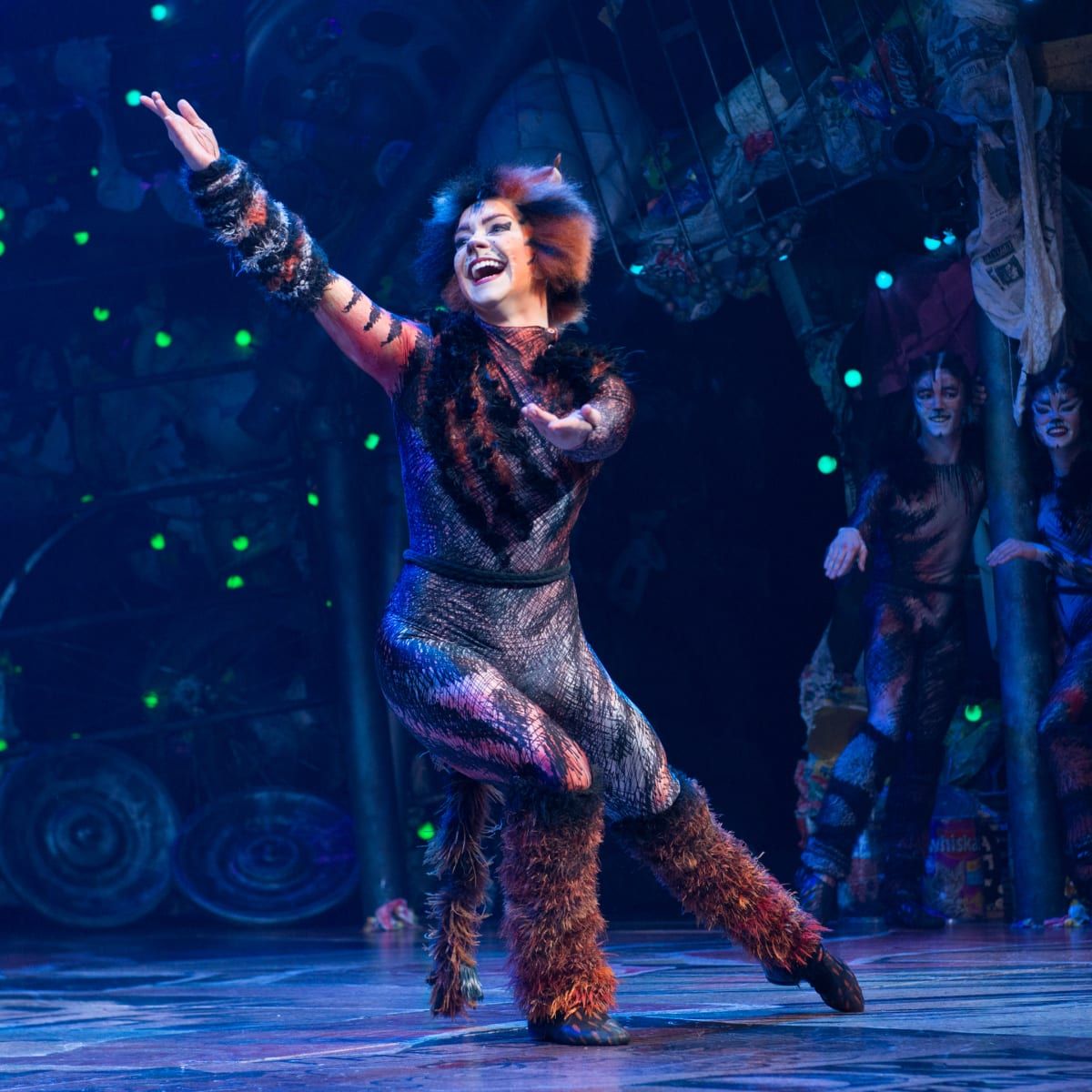 Cats at Sheas 710 Main Theatre