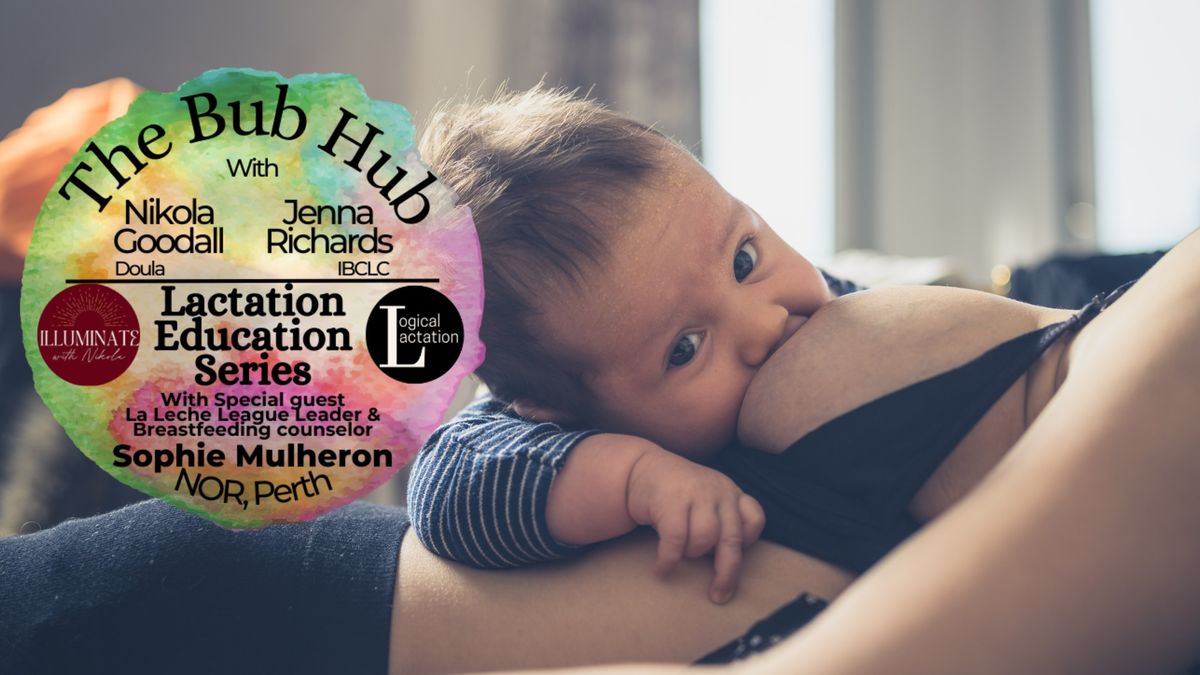 The Bub Hub: Lactation Education Series