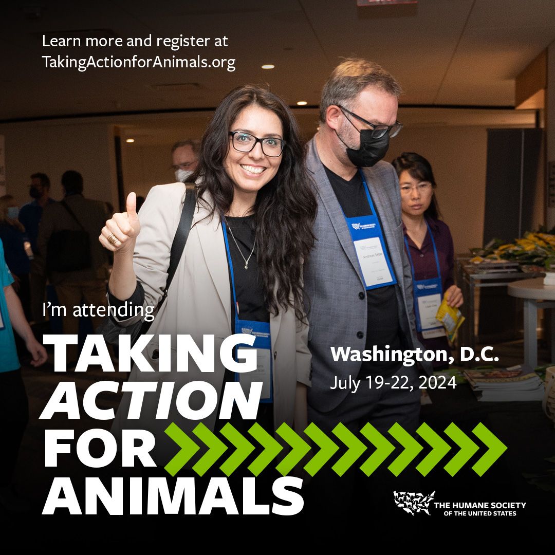 Taking Action for Animals (TAFA) 2024