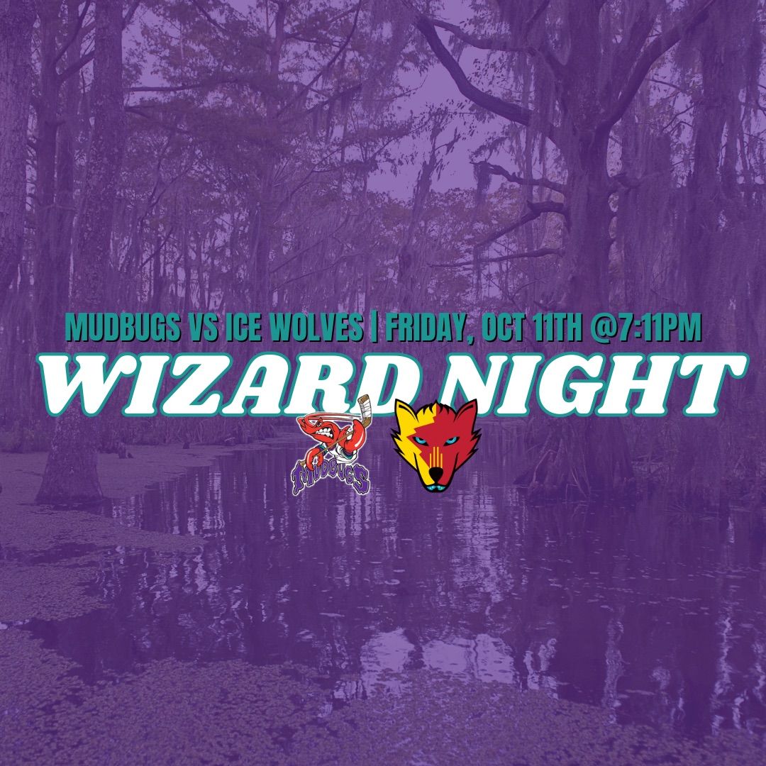 Mudbugs Game: Wizard Night