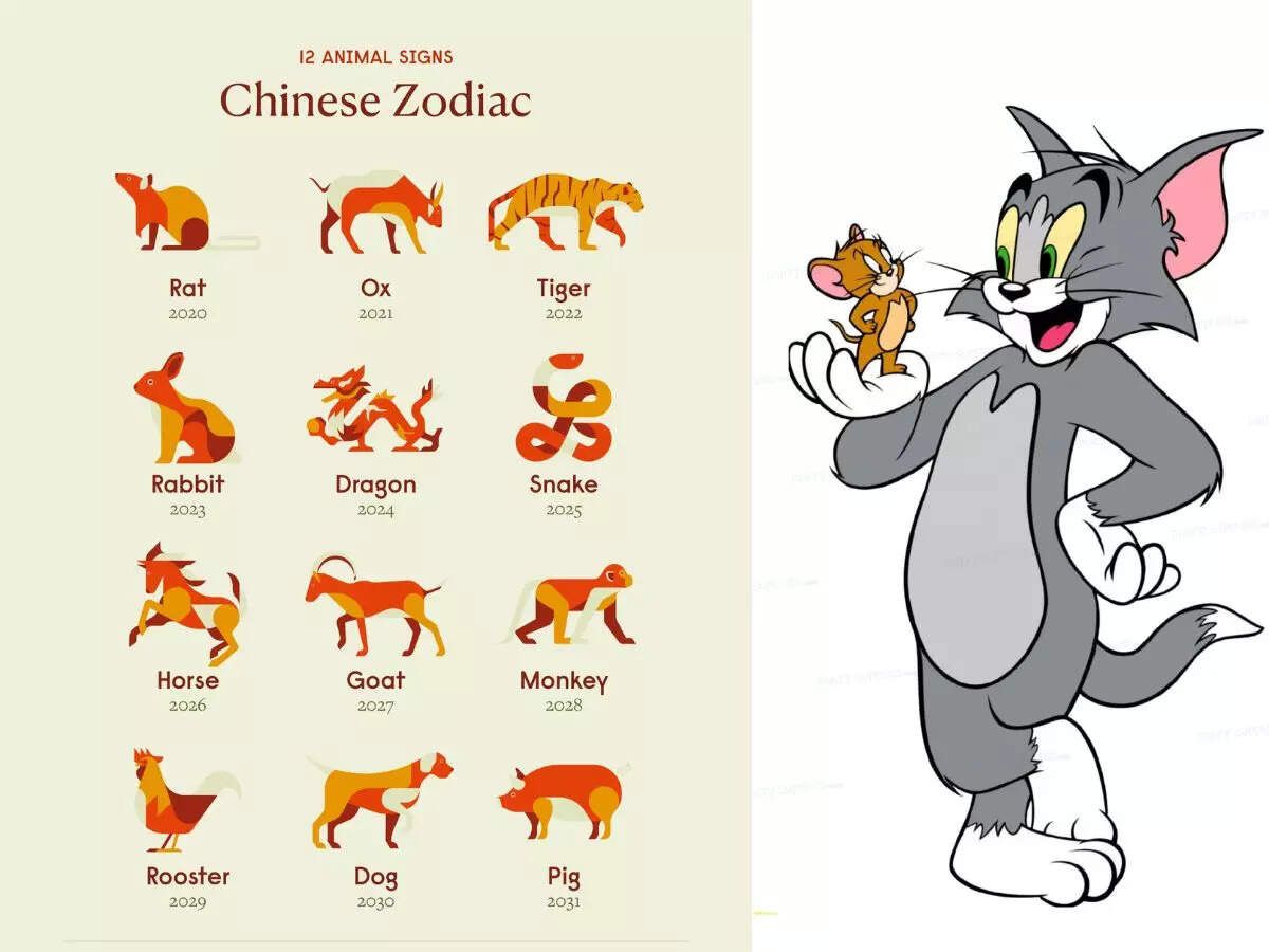 The Great Race: The Story of the Chinese Zodiac