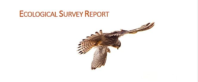 The Ecological Value of Rimrose Valley (Public)