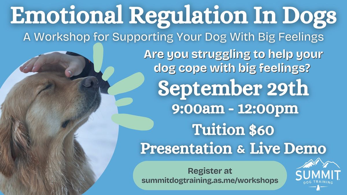 Emotional Regulation In Dogs Workshop