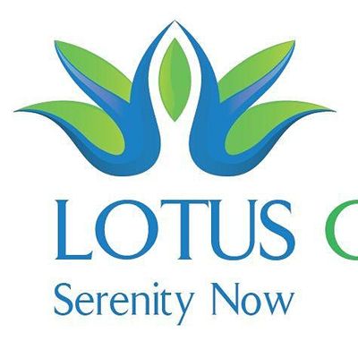 Lotus Consulting, PLLC