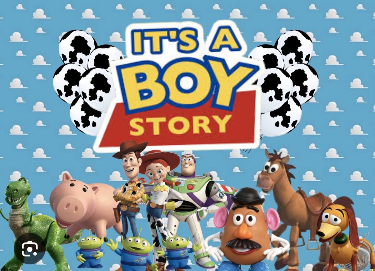 It\u2019s a boy story shower 