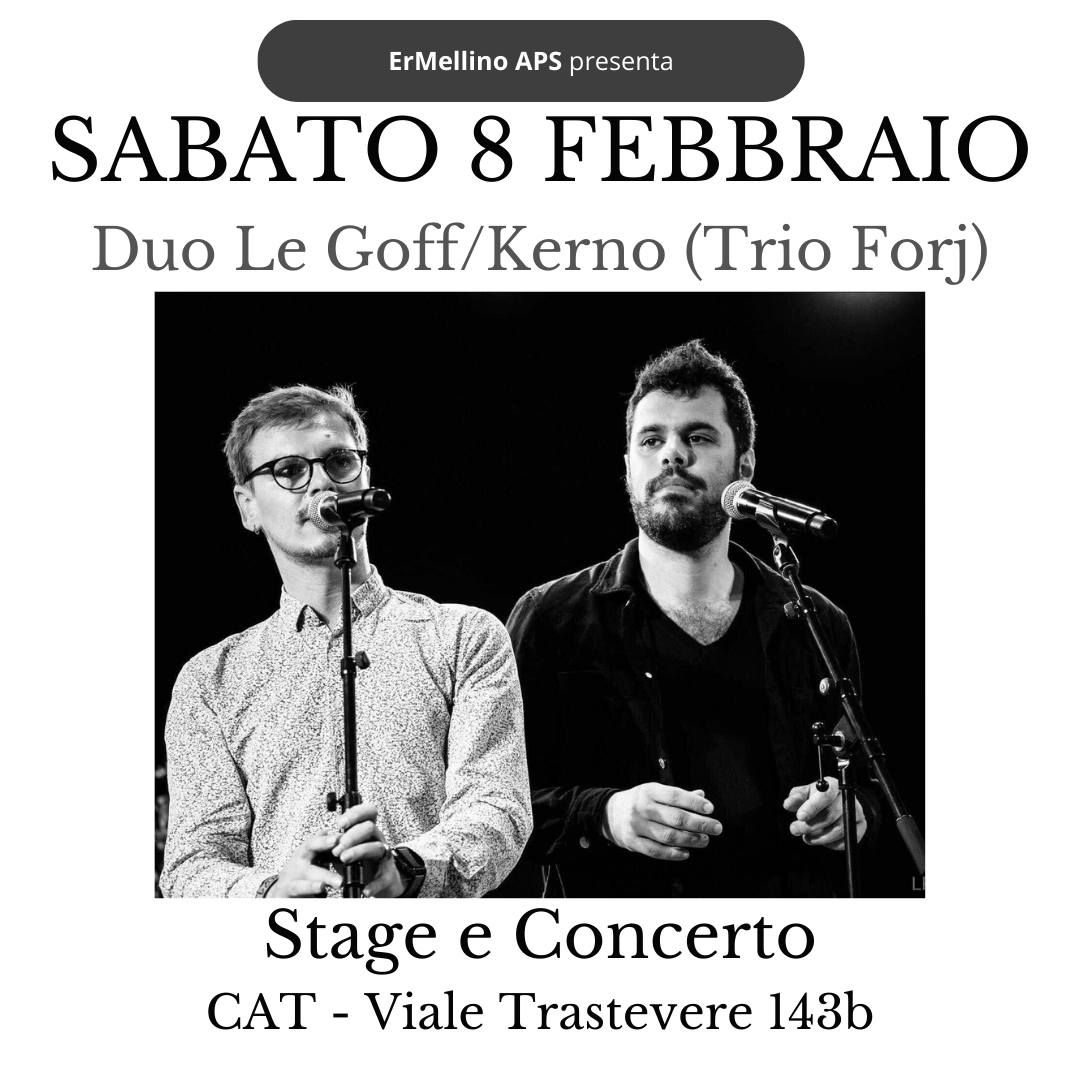 Duo Le Goff\/Kerno - stage e concerto!