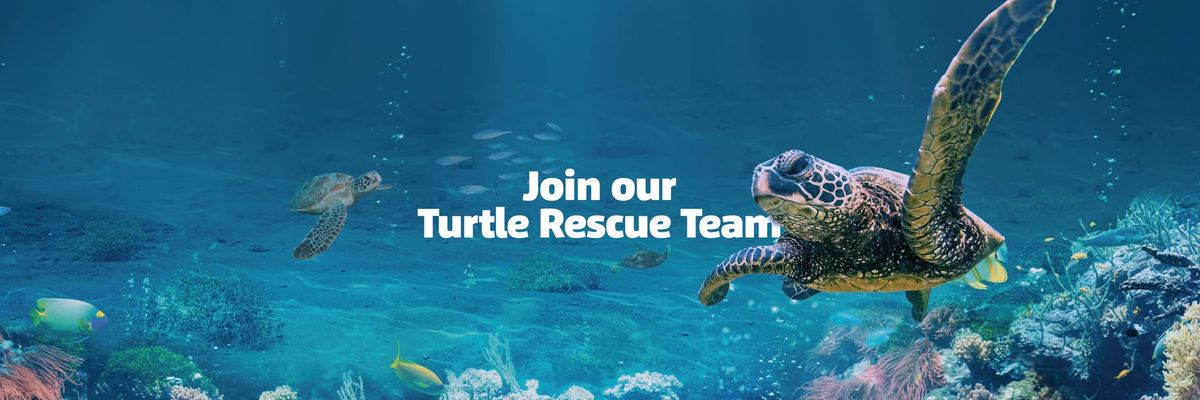 Turtle Rescue Team Event