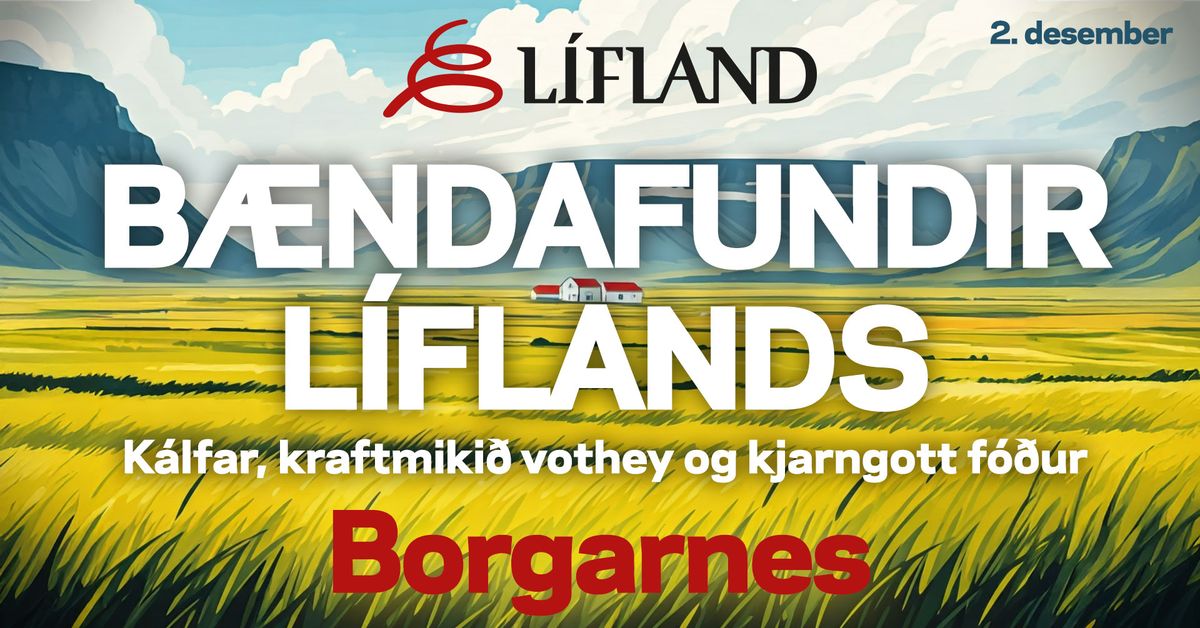 B\u00e6ndafundir L\u00edflands - Borgarnes - K\u00e1lfar, kraftmiki\u00f0 vothey og kjarngott f\u00f3\u00f0ur