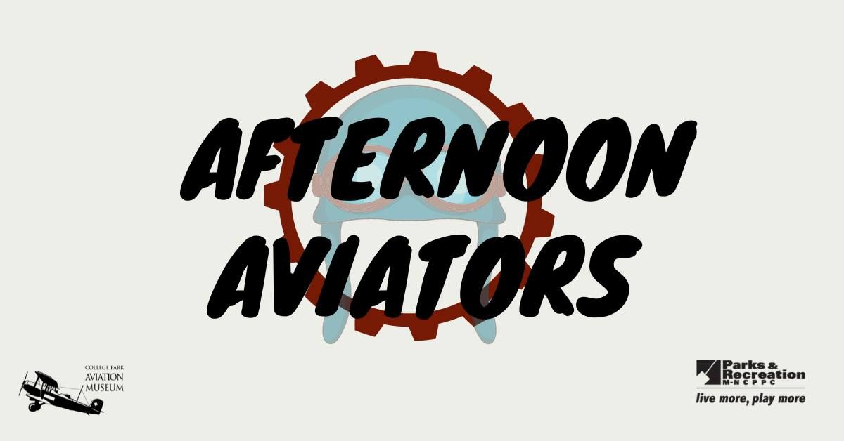 Afternoon Aviators: The Fashion of Flight