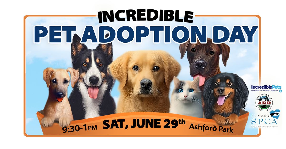 Incredible Pet Adoption Day