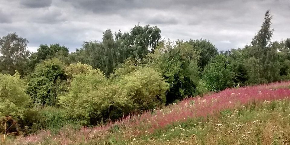 Walking Tour - Constable's Hampstead