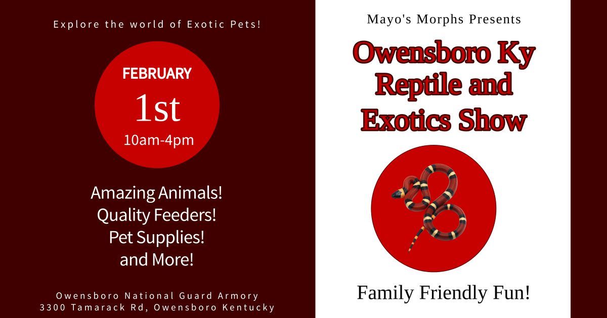 Owensboro Kentucky Reptile and Exotics Show