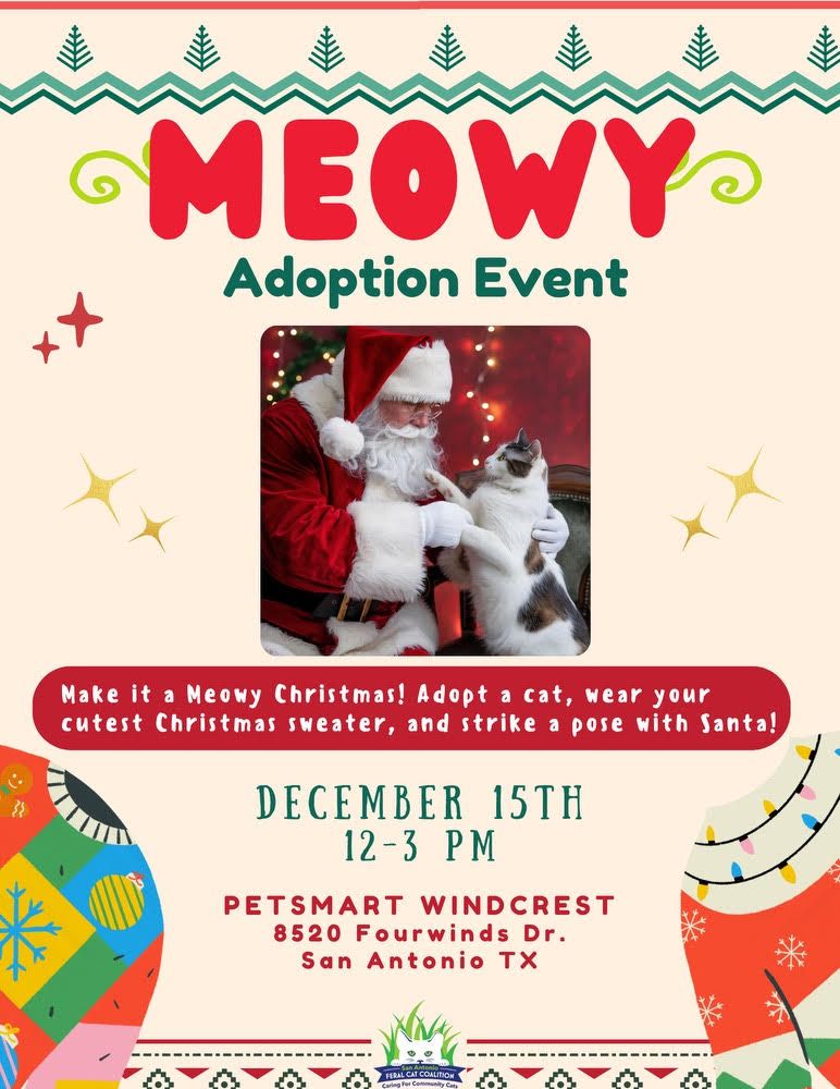 Meowy Adoption Event