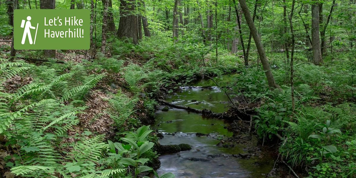 Let's Hike Haverhill: Viburnum Woods Bloom Hike