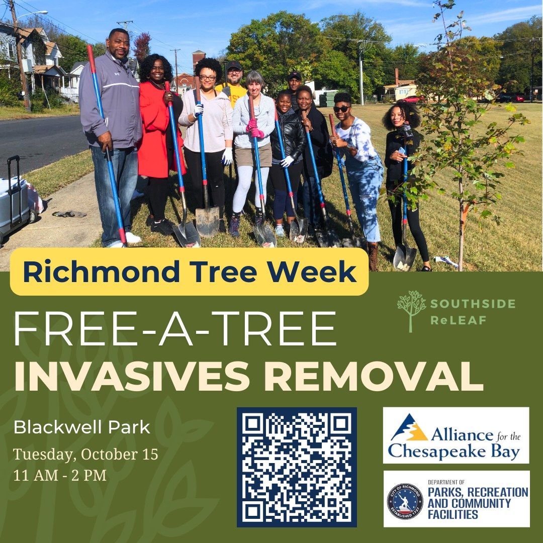 Invasive Species Removal Workday at Blackwell Park