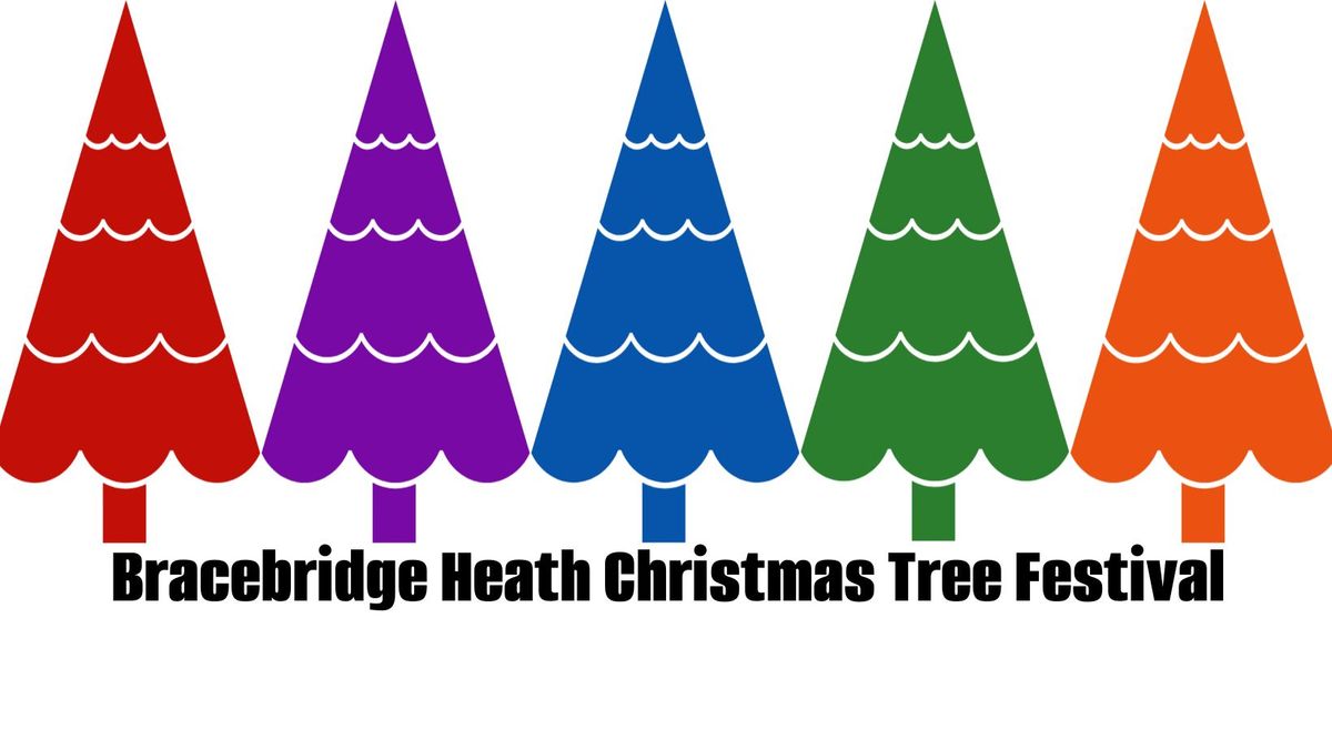 Bracebridge Heath Christmas Tree Festival - a community event 