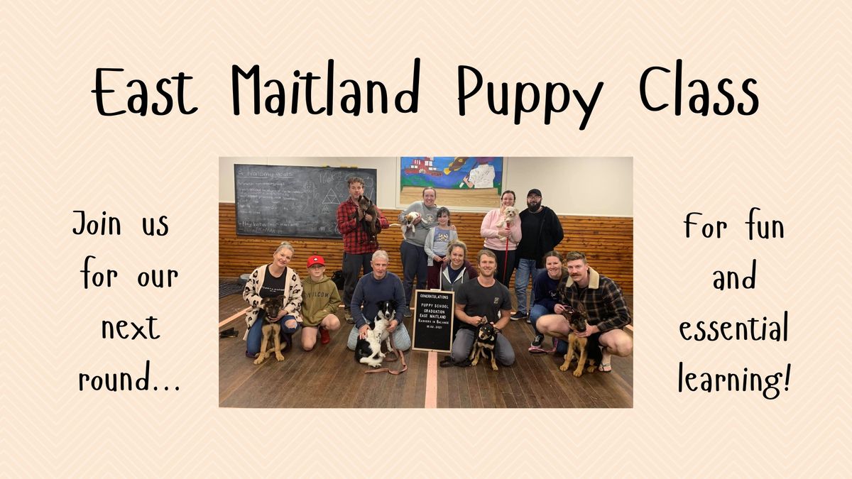 East Maitland Puppy Class