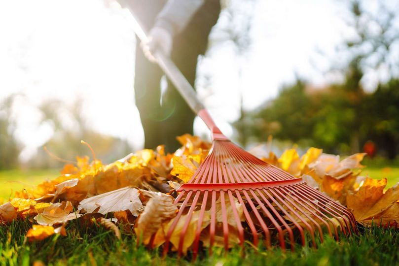 Rake Up Richmond Heights \/ Fall Cleanup