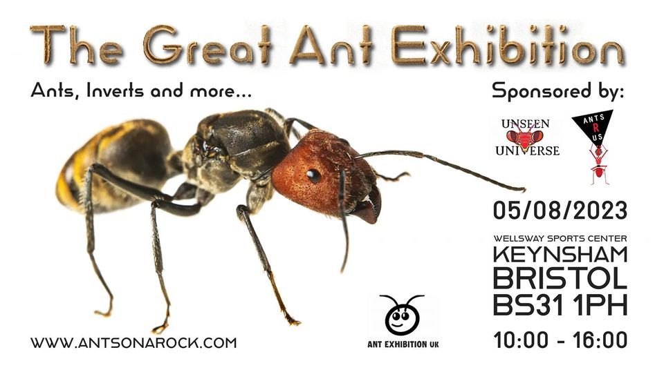 The Great Ant Exhibition Bristol 2023