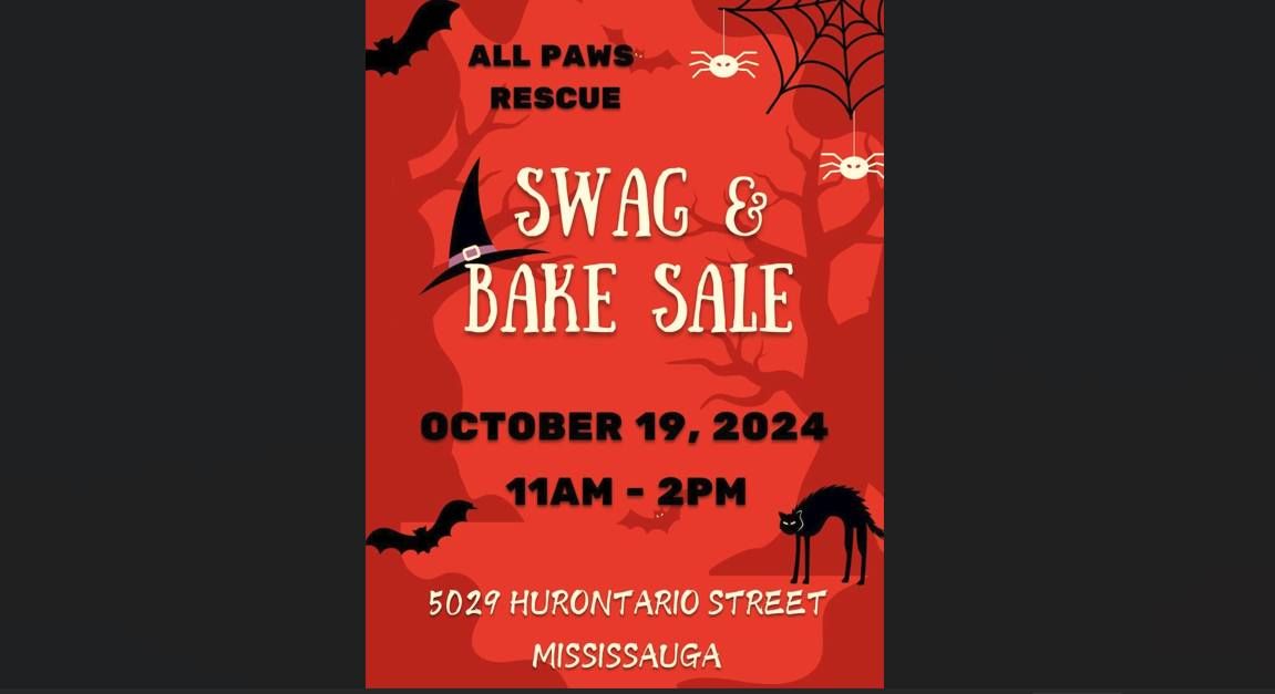 Bake & Swag sale + Kitten Meet & Greet