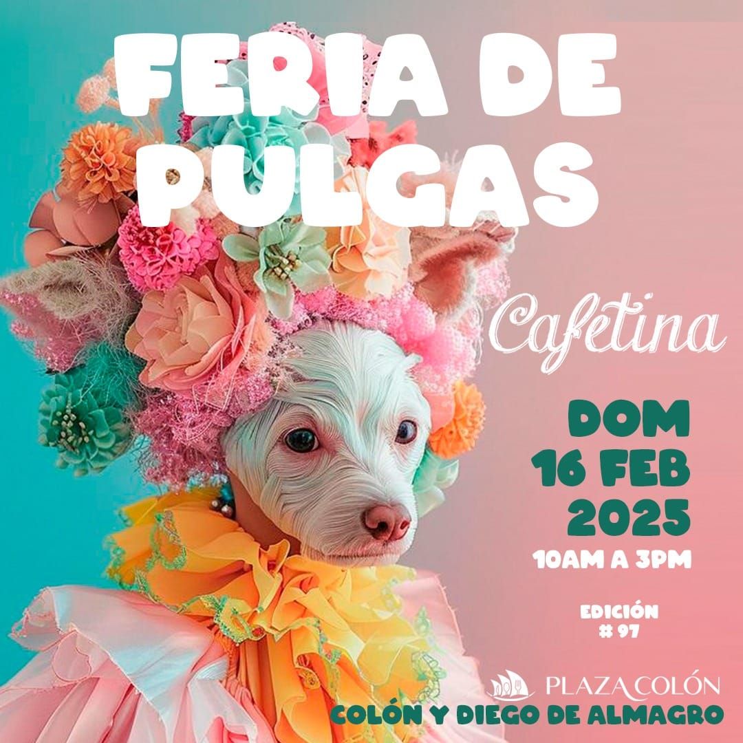 FERIA DE PULGAS CAFETINA FEBRERO 2025