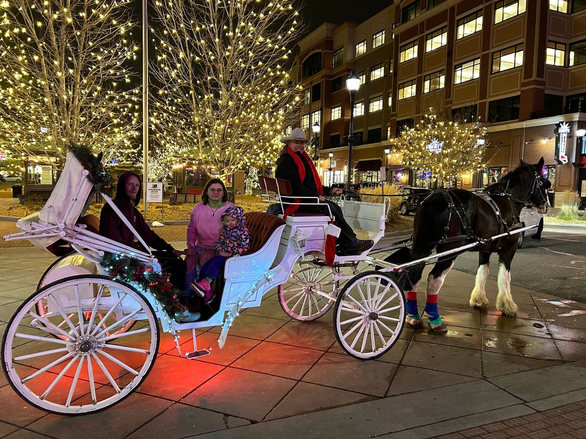 Holiday Lights Carriage Rides - Downtown Ft Collins