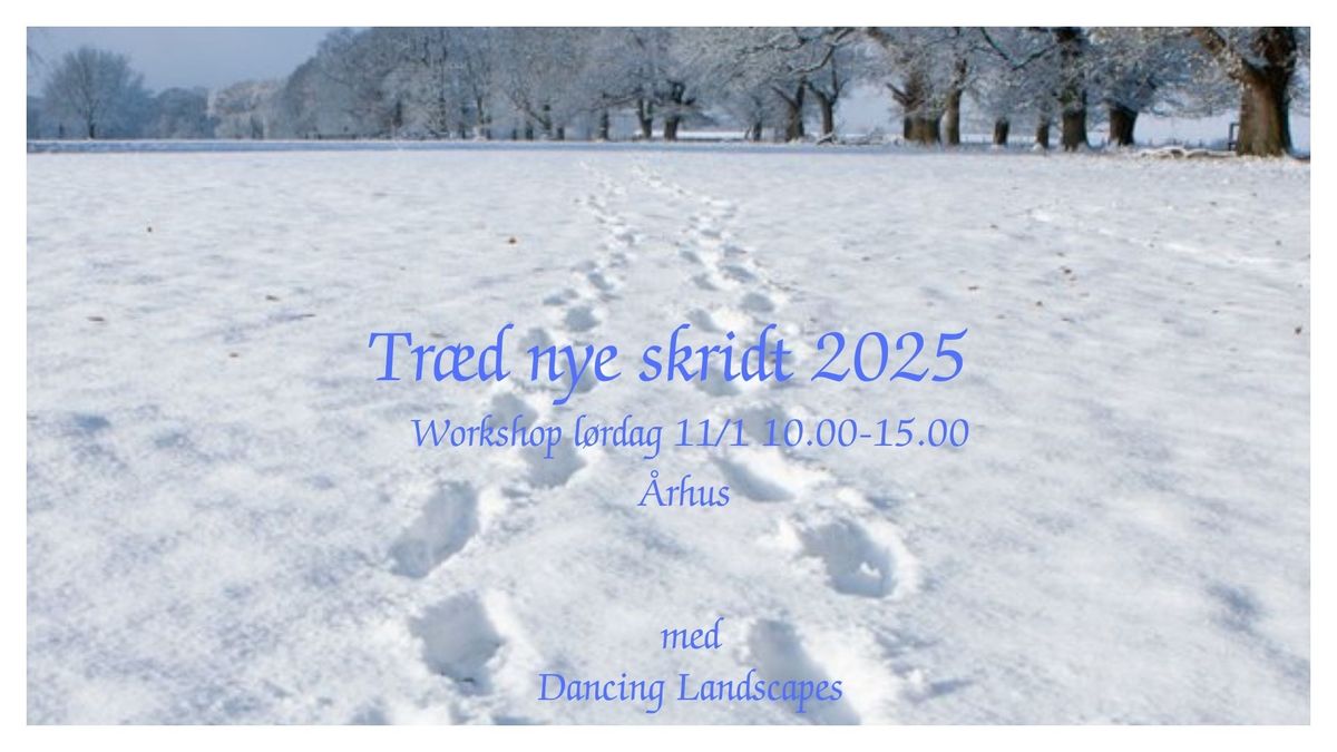 Tr\u00e6d Nye Skridt - Workshop