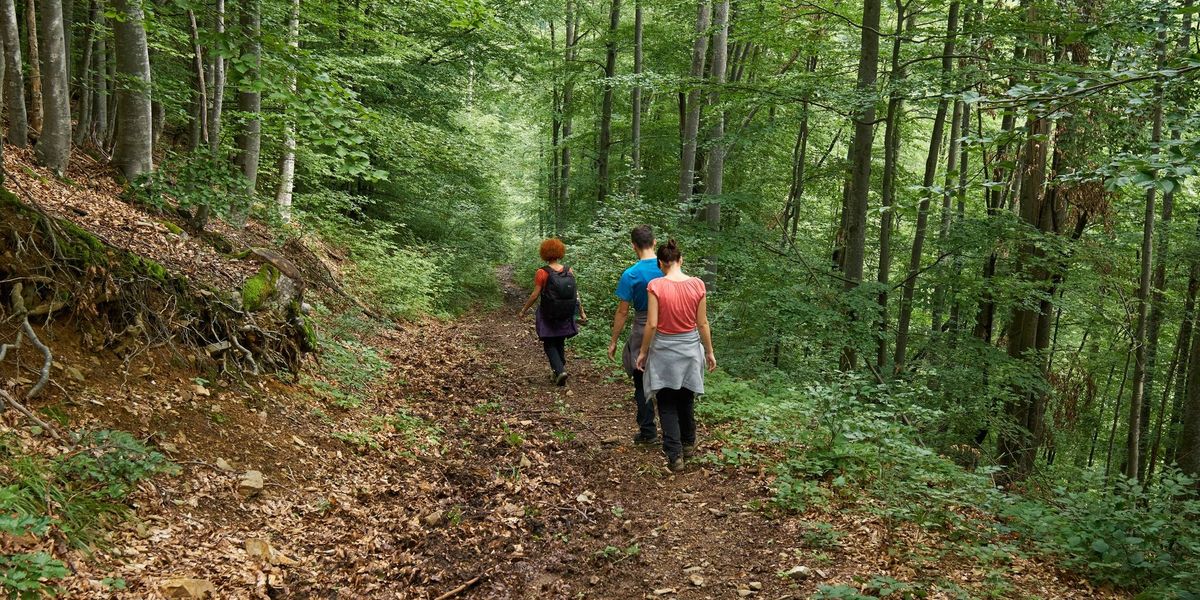 Hiking With Friends