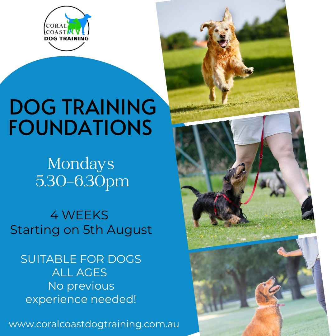  4-Week Dog Training Foundations Classes