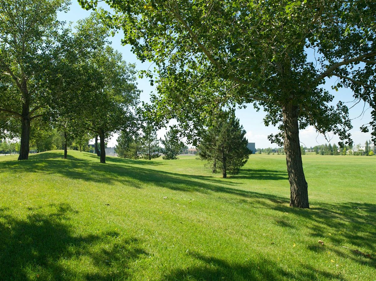 YYC Trees: Marlborough Park, Tree Guided Walk