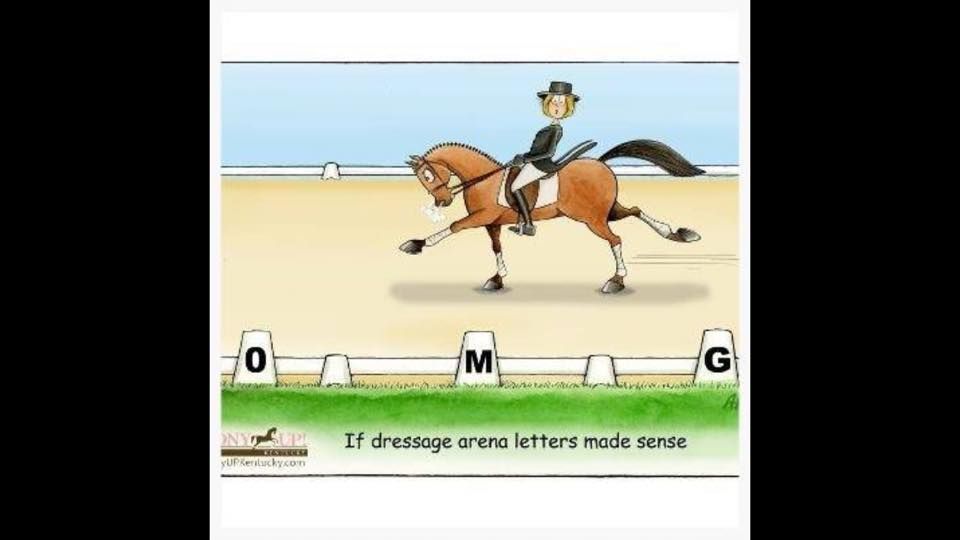 Open Dressage 