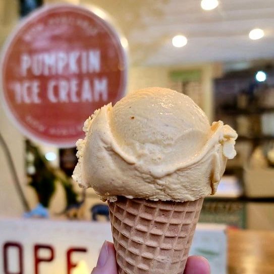 Pumpkin Ice Cream Release (dairy and vegan)