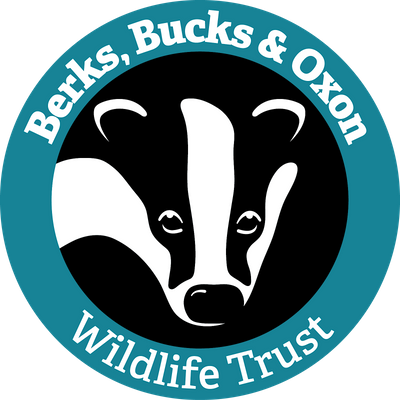 The Berks, Bucks and Oxon Wildlife Trust