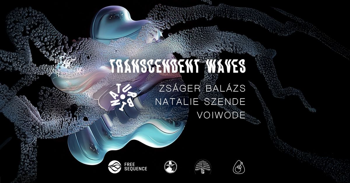 TRANSCENDENT WAVES 360\u00b0 \u2053 Zs\u00e1ger Bal\u00e1zs, Natalie Szende, Voiwode