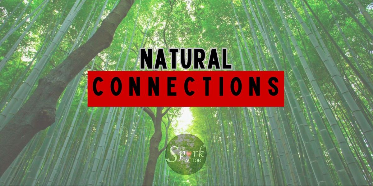 Toronto Spark Factor "Natural Connections" for  Mindful Singles