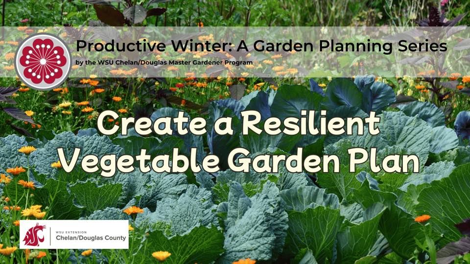 Productive Winter Series: Create a resilient vegetable garden plan