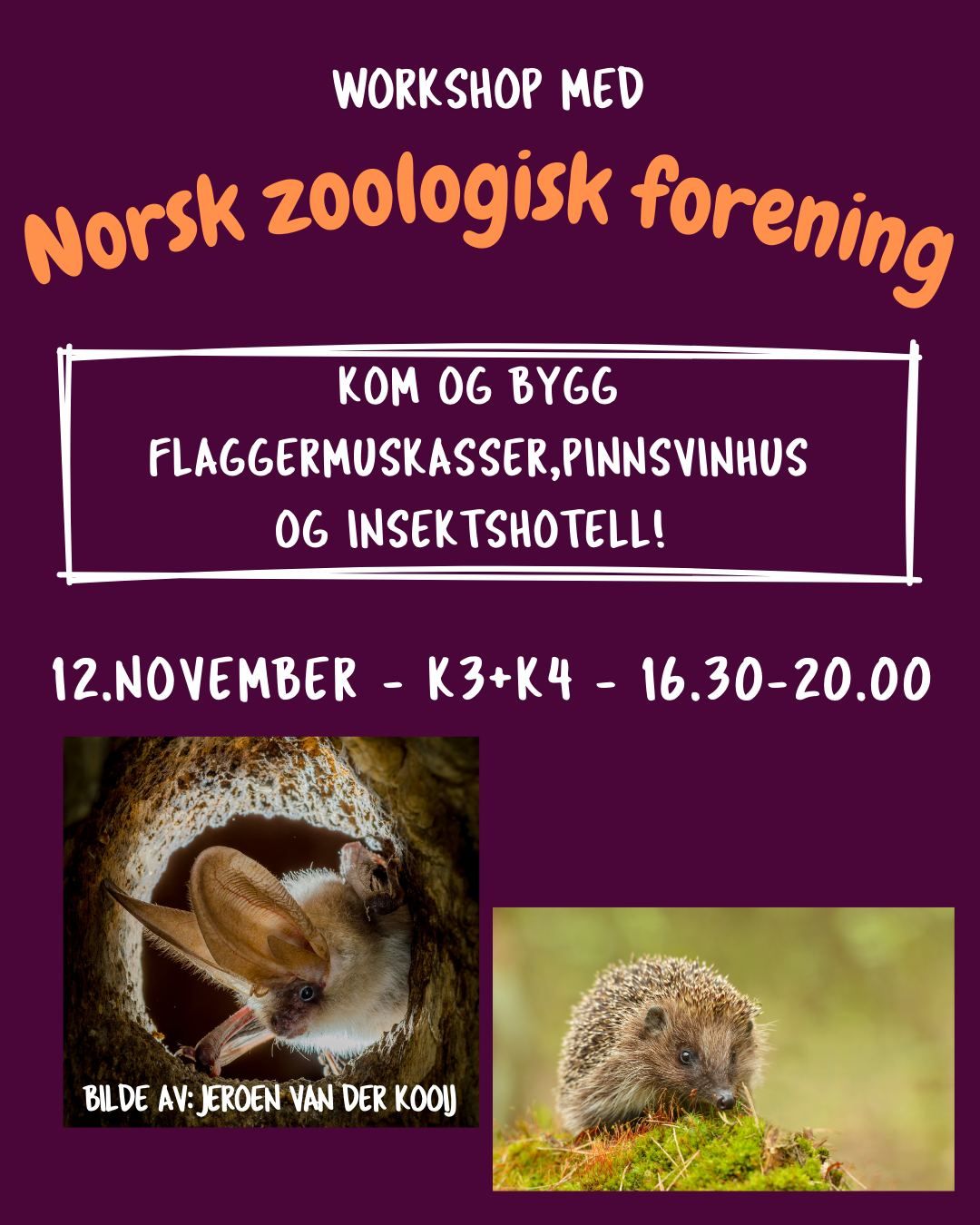 Workshop med Norsk Zoologisk Forening