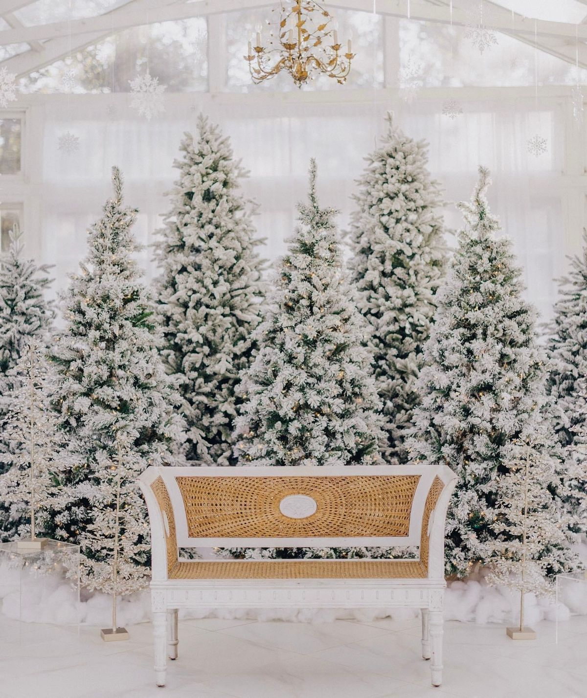 Winter Wonderland Mini Sessions at the Willow