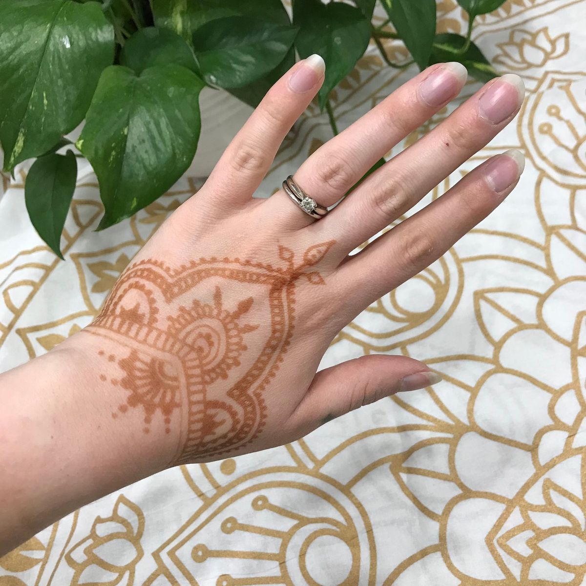 Henna with Hannah and DIY Henna Pop and Shop